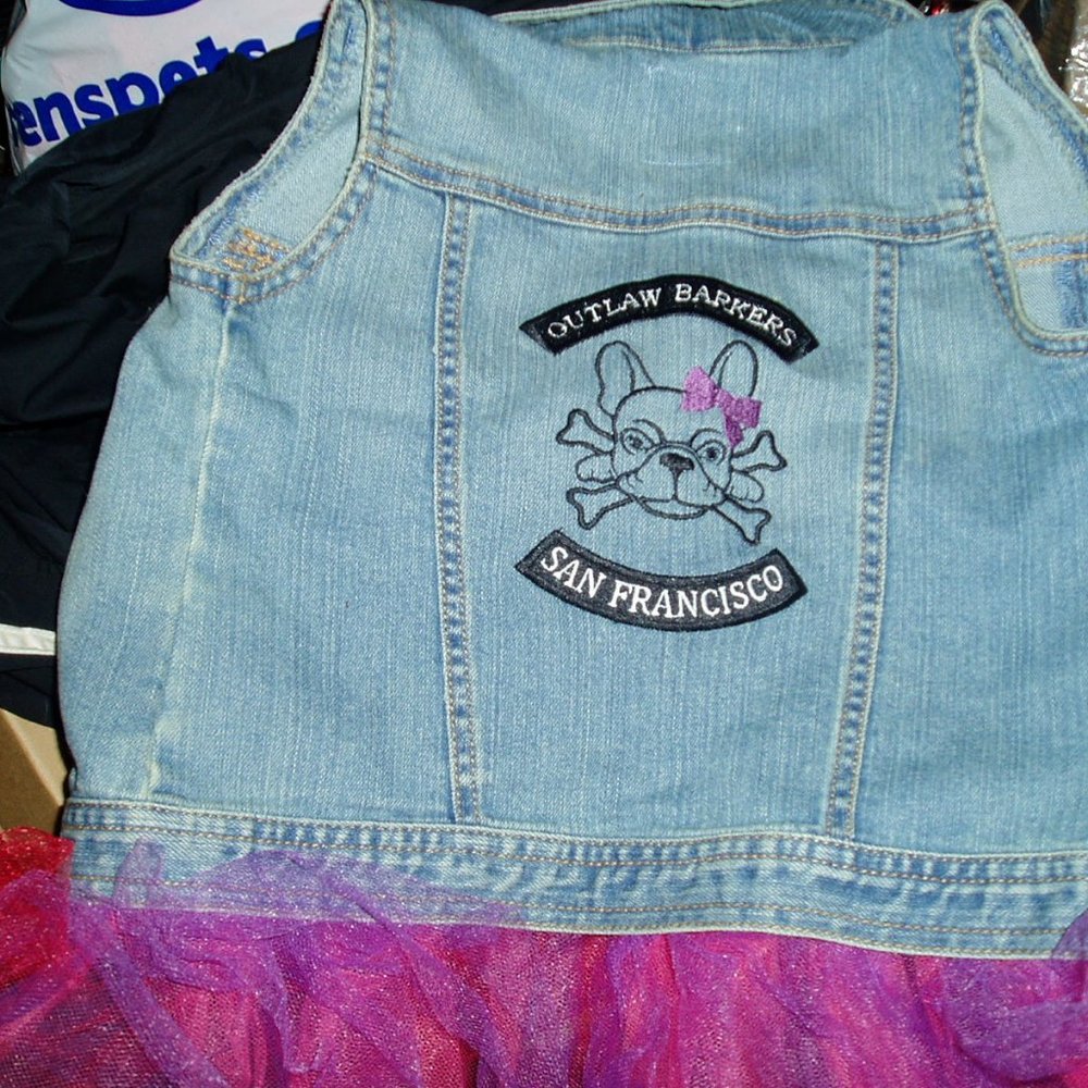 Fall Denim Dog Biker Jacket